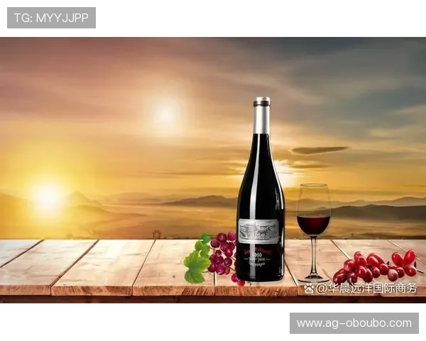 欧博登录入口地址及登录方式全方位指南帮助新手玩家顺利完成登录流程